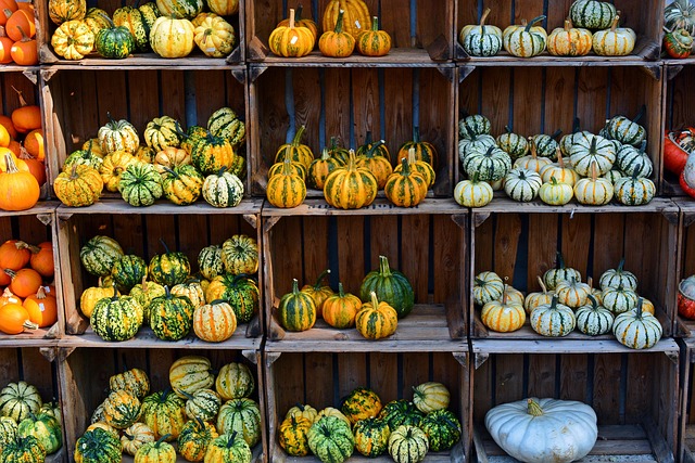 Grey-Bruce Farms for Sale