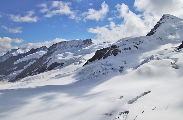 Lot Clearing Costs Ontario: Hourly Rates & Factors