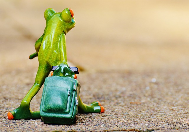 Collingwood Property Management: Expert Solutions for Success