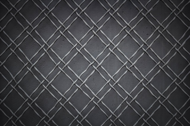 Strengthen Your Chain Link Fence: Top Filler Choices for Barrie Security
