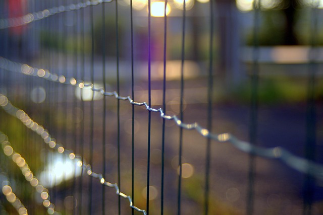 Ontario Farm Fencing: Define Lines, Durability, Cost-Efficient Solutions