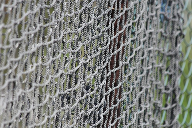 Secure Farm Fencing Grants in Ontario: Step-by-Step Guide