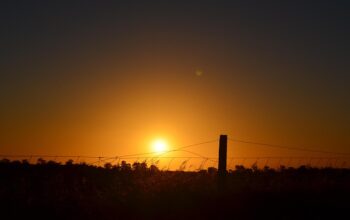 fence-for-farms-640x480-39257623.jpeg