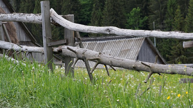 Fencing Farm Installation: Tools, Techniques & Maintenance Tips