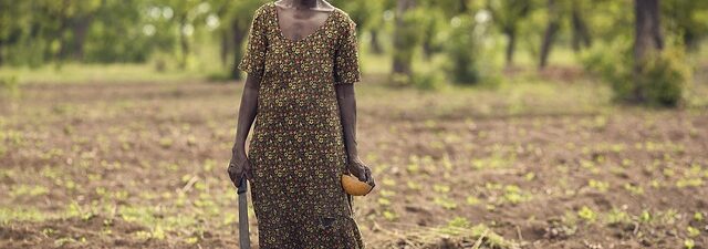 fence-for-farms-on-640x480-3835933.jpeg