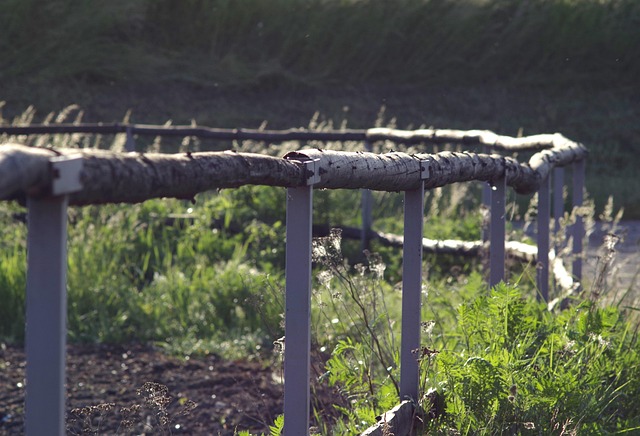 Fencing Ontario Farms: Top Options for Durable, Natural Containment