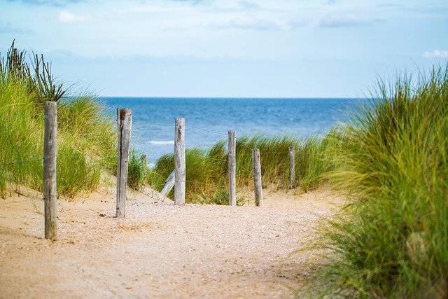 Expert Farm Fence Installation in Ontario: Top Services Guide