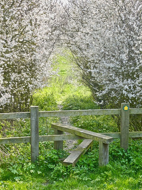 Barrie Homeowners: Choose Quality Fencing with Fence Right Inc