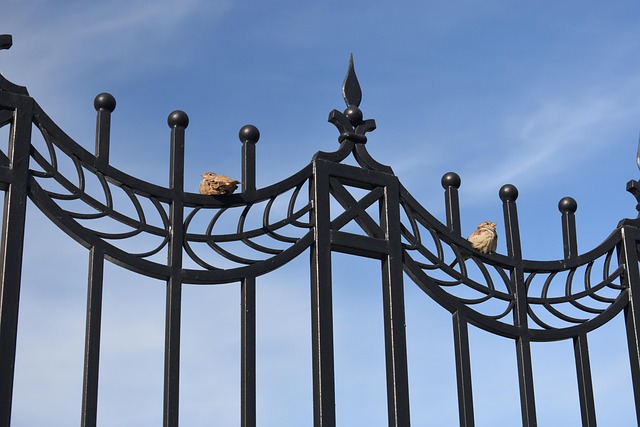 Get Your Fence Right: Avoid Common Installation Mistakes