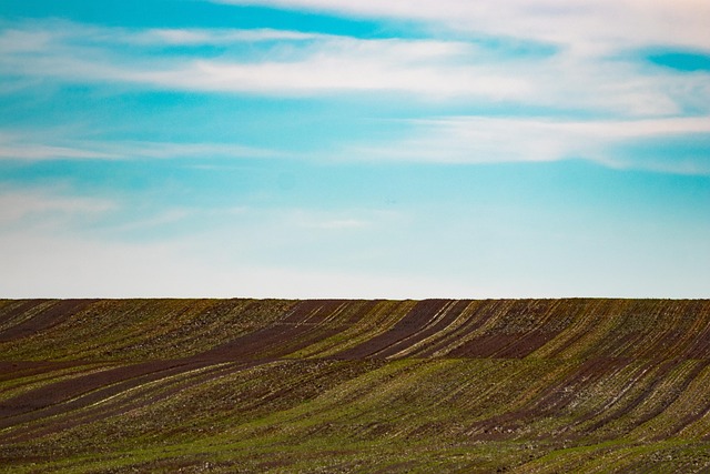 Unveiling Top Grey-Bruce Farms for Homesteading and Farming Success