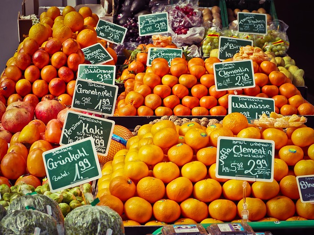 Grey-Bruce Farms for Sale