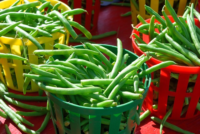 Grey-Bruce Ontario Farms for Sale