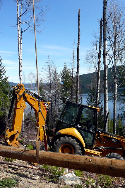 Professional Lot Clearing in Ontario: Paul’s Bobcat Services Guide