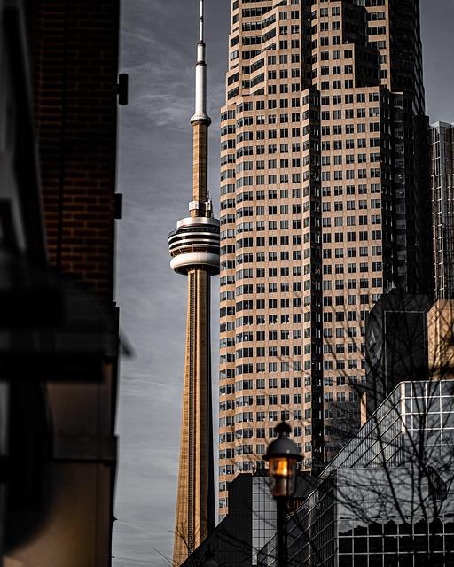 Ontario Lot Clearing: Efficient, Eco-Friendly Solutions for All