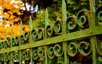 ornamental-iron-fence-barrie-640x480-34864616.jpeg