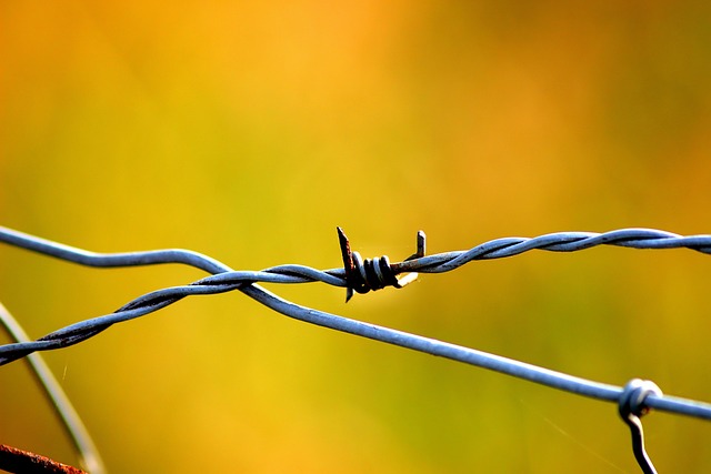 Modern Iron Fences: Secure Style with Fence Right Inc