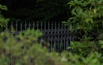 ornamental-iron-fence-collingwood-640x480-92403746.jpeg
