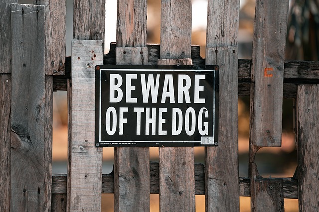 Streamline Property Management: Legal Protection for Collingwood Owners