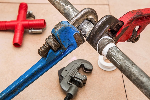 Seamless Maintenance: Certtech Web Solutions for Canadian Visitors
