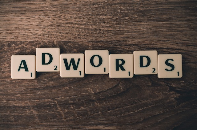 Comprehensive WordPress Care for Canadian Digital Assets