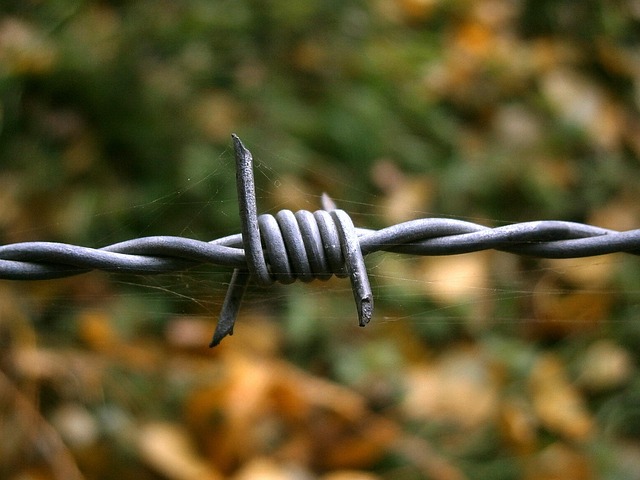 Elevate Your Barrie Home with Wrought Iron Fencing