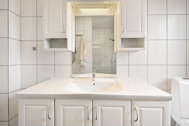 Property Management